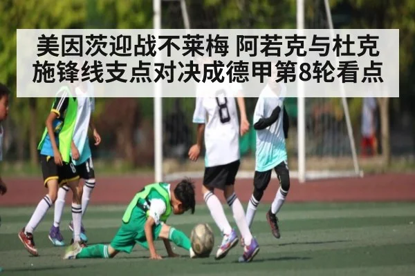 美因茨迎战不莱梅 阿若克与杜克施锋线支点对决成德甲第8轮看点